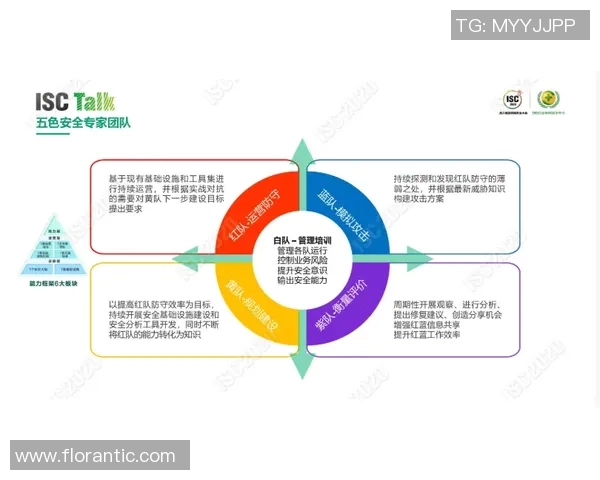 南京攀岩队区域防守体系探析与战术应用研究 南京攀岩队区域防守体系探析与战术应用研究