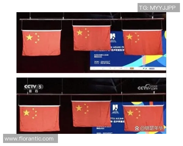 上海乒乓球队在洲际杯积分榜上以62分稳居第一名展现强劲实力