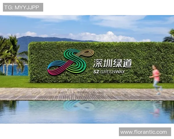 加维引领新潮流探讨未来足球的发展与创新之路