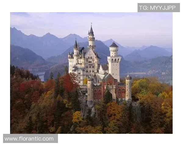 新城堡与阿德莱的对决解析：战术较量与球员表现的全面分析