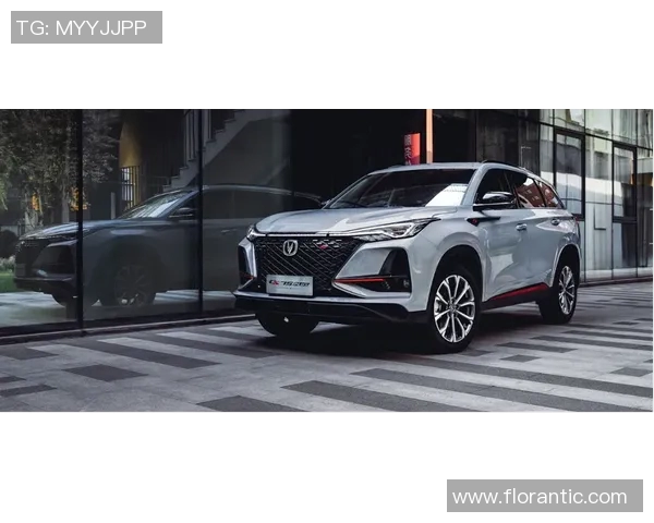 珀与永亚卡达的巅峰对决：探寻两者之间的实力与魅力之争