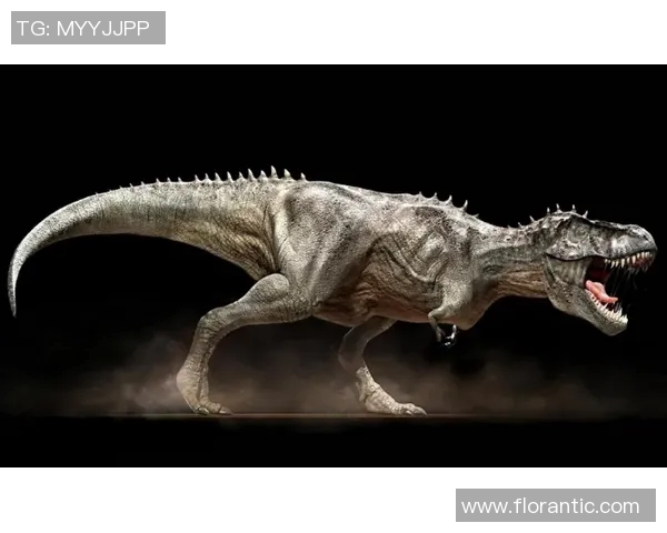 阿根廷龙对决强敌探秘比赛背后的故事与精彩瞬间