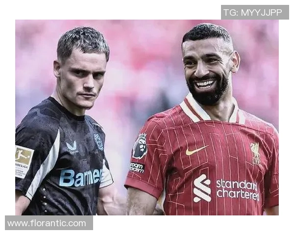 努涅斯在赛季中的表现分析及其对球队战术的影响探讨