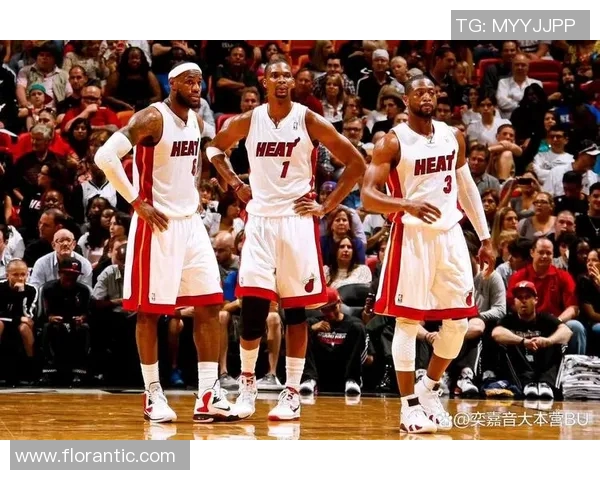 回顾2013年热火与骑士经典对决全场录像精彩瞬间分析与解读