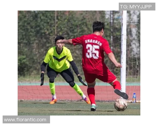 精彩回顾越南对阵马来西亚的比赛录像分析与精彩瞬间分享