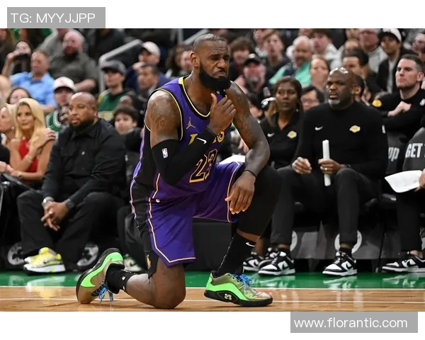 詹姆斯领衔湖人与快船对决数据分析与赛季表现总结