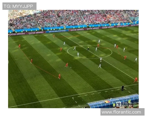 比利时与日本河马的精彩对决解析与战术分析