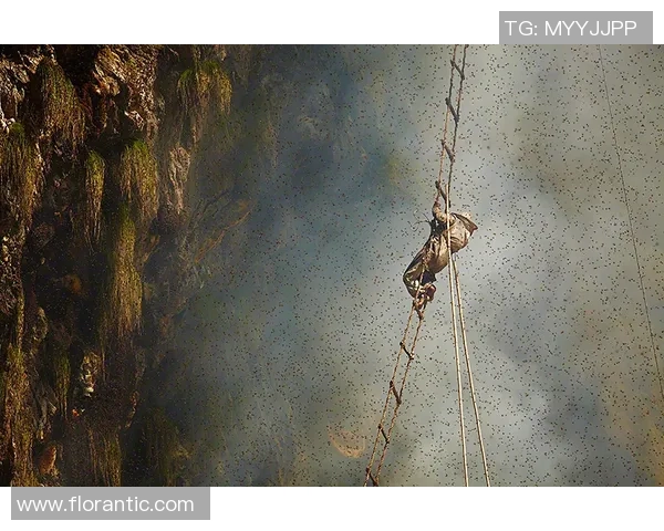 杭州攀岩队探索团队协作新模式引发热议与思考 杭州攀岩队探索团队协作新模式引发热议与思考