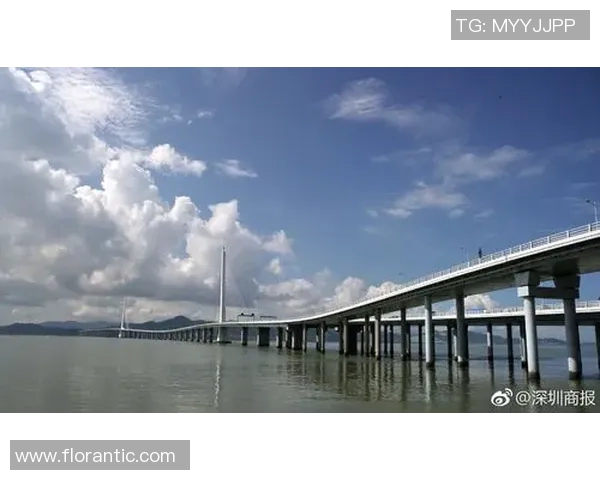 深圳排球队中路突破创新之路探秘与发展前景分析