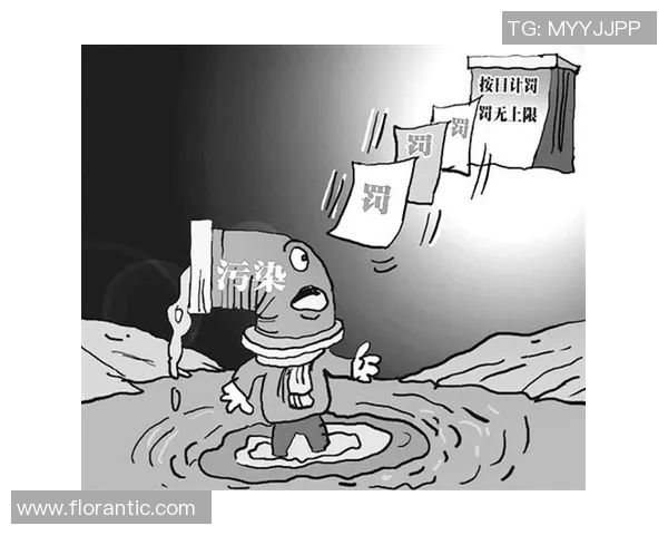 环保用语与其深刻含义的对比分析与解读