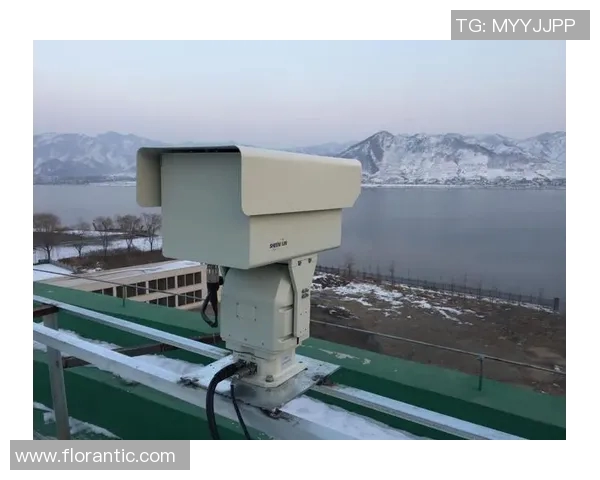 重磅专题：探索BLG在整体压制领域的创新与变革之路