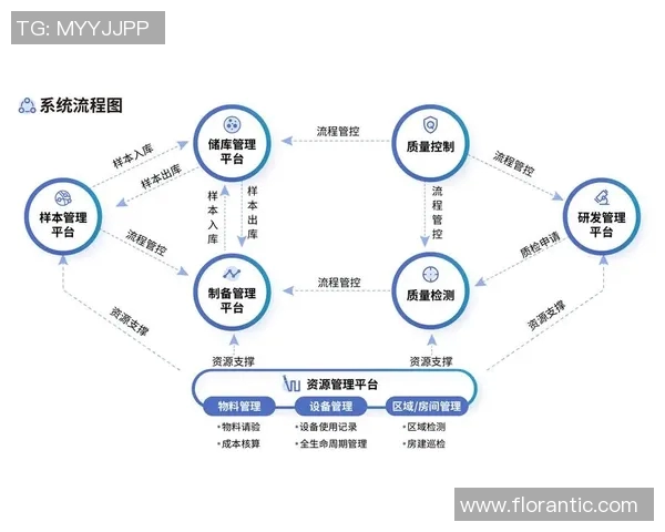 北京排球队快攻革新之路：技术突破与战术演变的深度解析MBA
